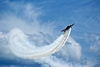 The Magic of Flight : 
