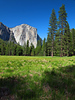 California : 